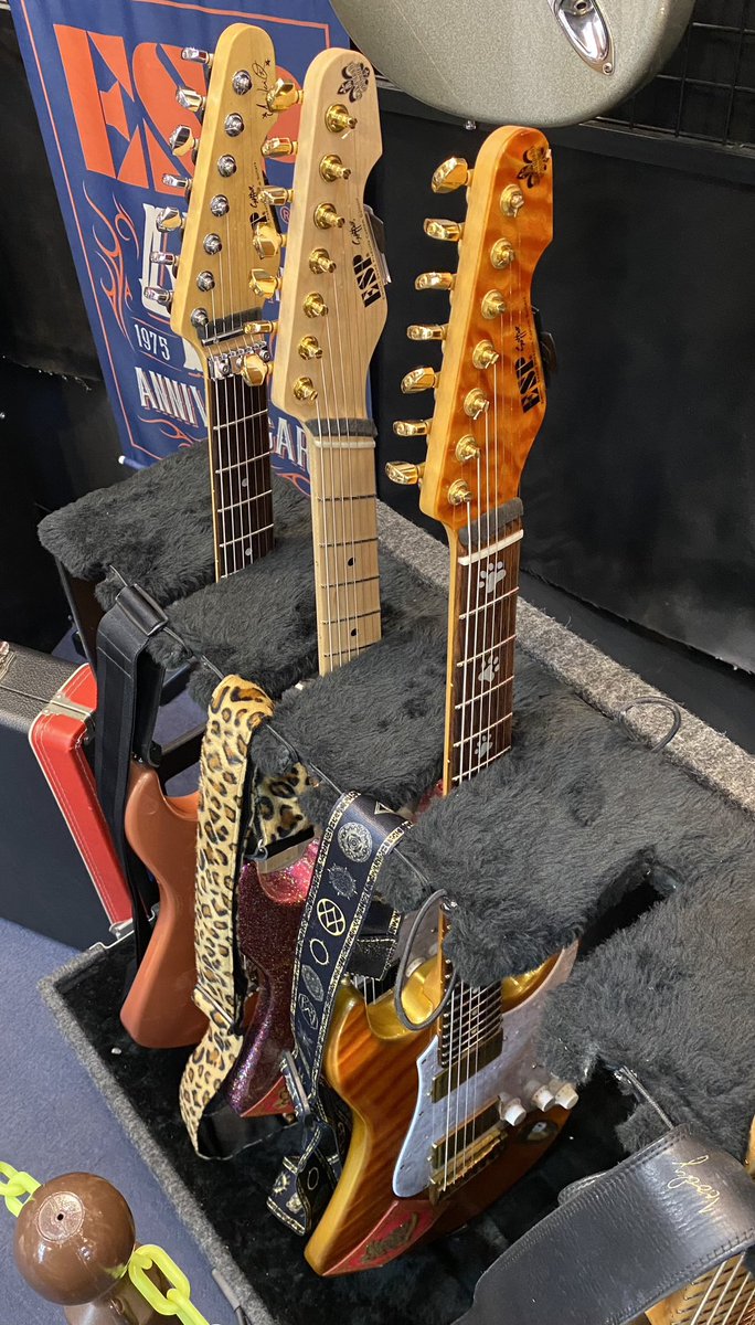 ハニーゴールドのヘッドの傷は若いテックの子が倒して出来ちゃったものです笑 