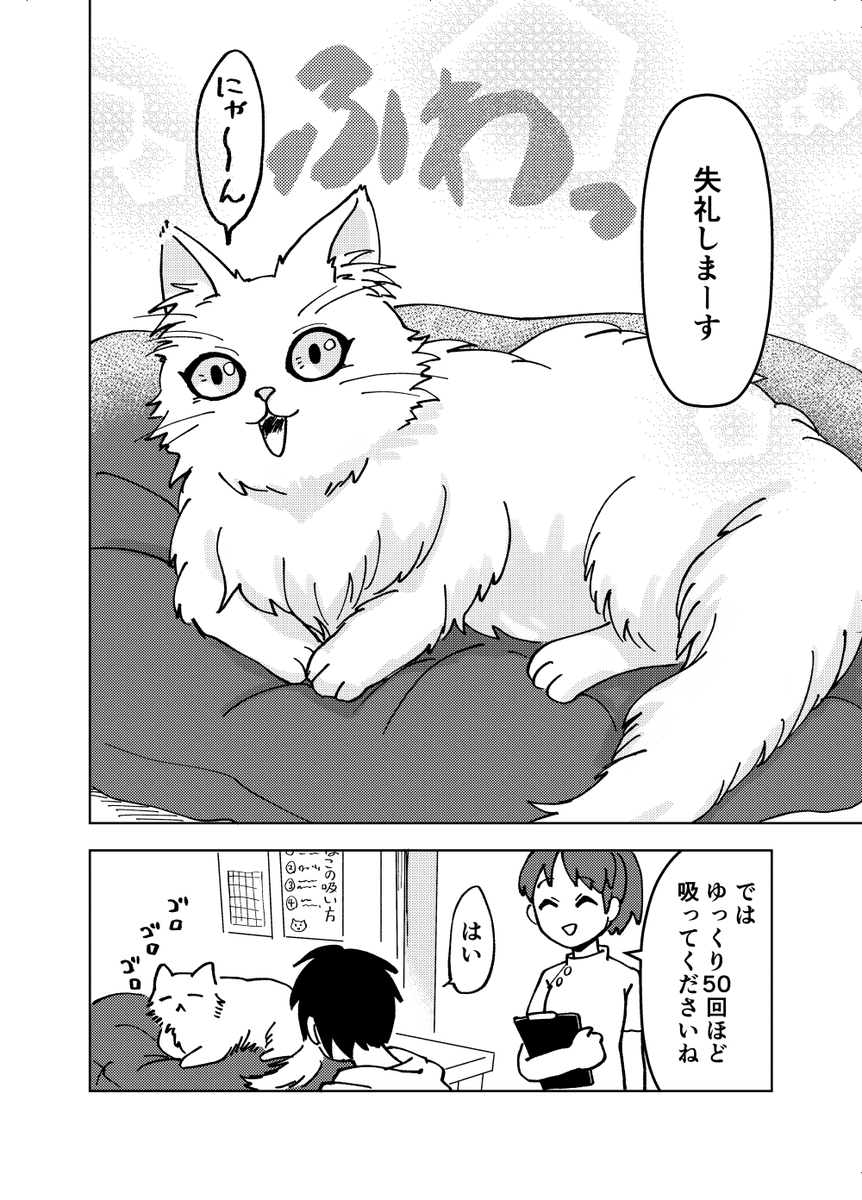 ニャンニャンクリニックも再放送 #猫の日 