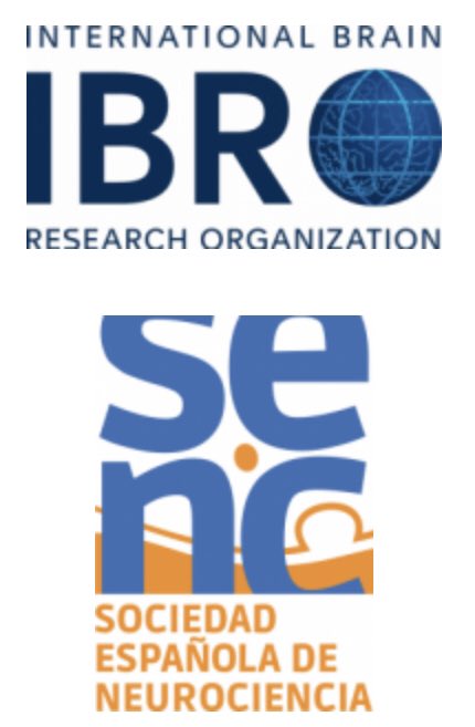 Don´t miss sympo 'Humanized Stem Cell-derived models for better understanding #CNS #Development, #Myelination & Pathologies' (by @karagogeos+@FdeCastroS),Sept 11th at #IBRO2023,with talks by @FloraVaccarino @fossati_v @SilviaM_Velasco & #MCeciliaAngulo👇🏼: cslide.ctimeetingtech.com/ibro23/attende…