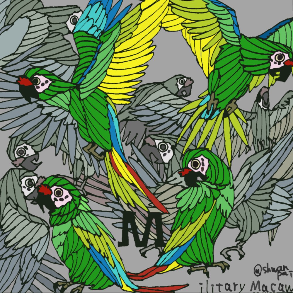 ミドリ「Military macawミドリコンゴウインコ 」|かろやかにシャワンのイラスト
