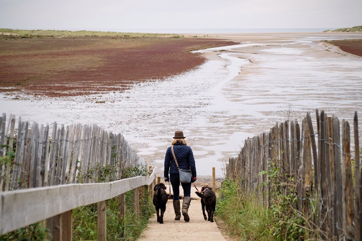 It’s #NationalWalkingTheDogDay & here’s 1 that I haven’t shared before from a marvellous hols we 4 had in #Norfolk. Not only is it a truly stunning beach walk at #Holkham, the beach café sells THE best vegan sausage rolls & chocolate flapjack ever. Bonus! 🤩

#WalkingTheDogDay