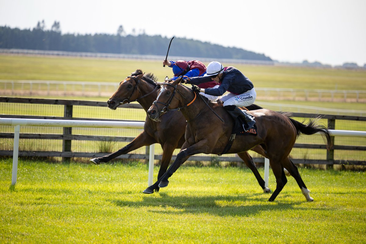 RacingPost's tweet photo. A total of 20 whip breaches have been announced by the whip review committee for races run over jumps between February 13 and 19 https://t.co/ZF6F5Polxr