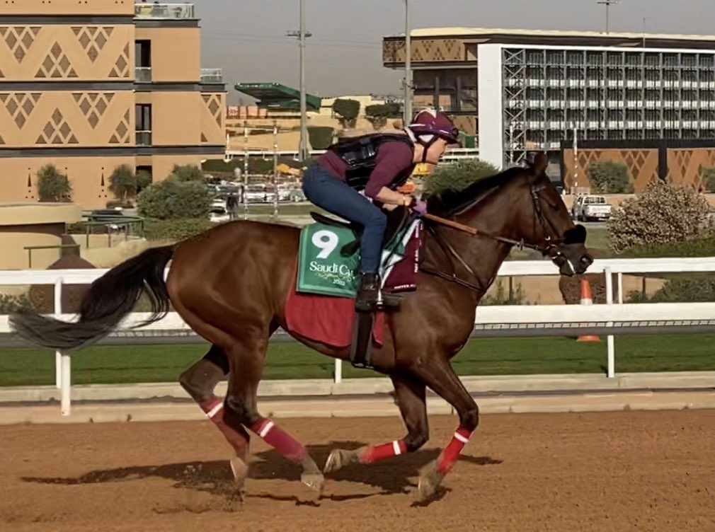 AdolphsonRacing's tweet photo. REMORSE and Caroline Seemar carrying the UAE hopes in @thesaudicup. @OsheaTadhg will ride in Saturday’s $20m Group 1 affair for @ZRacingstables @BhupatSeemar &amp; @AlRashidStable https://t.co/eUyHXSnb0M