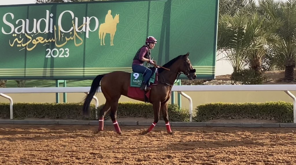 AdolphsonRacing's tweet photo. REMORSE and Caroline Seemar carrying the UAE hopes in @thesaudicup. @OsheaTadhg will ride in Saturday’s $20m Group 1 affair for @ZRacingstables @BhupatSeemar &amp; @AlRashidStable https://t.co/eUyHXSnb0M