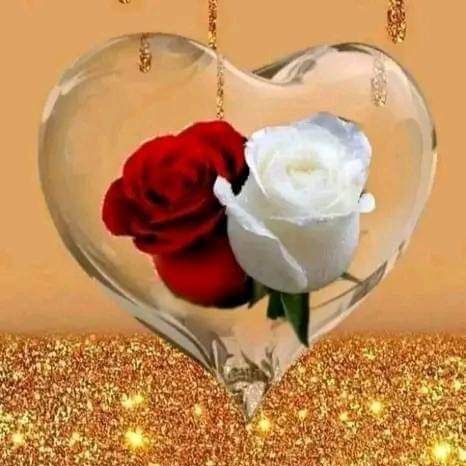 norsuhaleyi's tweet photo. #GambarProfilBaharu https://t.co/mEaYv1skSD