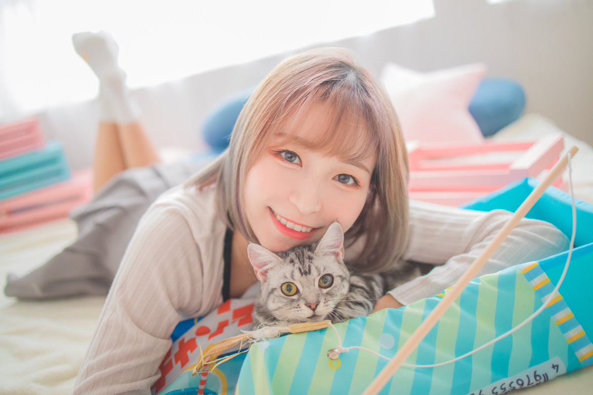 lam_luffy's tweet photo. #猫の日 https://t.co/G4l8LGesjD