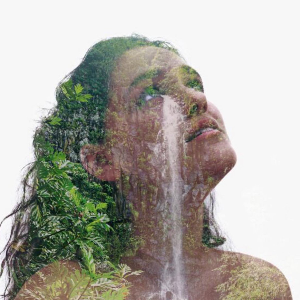 ‘HER GREEN HELL’ SO GOOD! Based on a true story from the 70’s about a plane crash survivor - the plane chair, sycamore seed-like, helicopters her down to the rainforest. Written (brilliantly, and so well imagined) and directed by <a href="/HowlettEmma/">Emma Howlett</a> The Vault Theatre. Highly recommend!