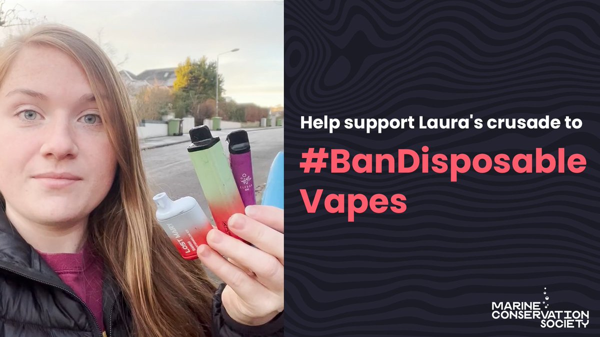 We’re supporting #YouthOceanNetwork member @LessWasteLaura with her campaign to #BanDisposableVapes❌  

We want to show how big this problem is, and we need your help! 👇 
1. Snap a picture of any disposable vapes you find littered in streets, parks or on the beach