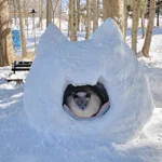 猫の日のお祝い!猫型のかまくらの中に猫ちゃんが!