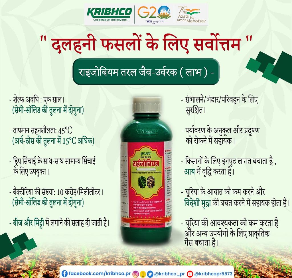KRIBHCO_PR's tweet photo. नाइट्रोजन फसलों का प्रमुख पादप भोजन है। लेकिन फसल के पौधे सीधे वायुमंडलीय नाइट्रोजन ग्रहण नहीं कर सकते हैं। राइजोबियम तरल जैव-उर्वरकों का चयन प्राकृतिक मिट्टी के जीवाणुओं से होता है। जो फसलों में नाइट्रोजन के स्थिरीकरण में मदद करते हैं।

@MinOfCooperatn
@AgriGoi
@PIB_India https://t.co/RbDdFrLByf