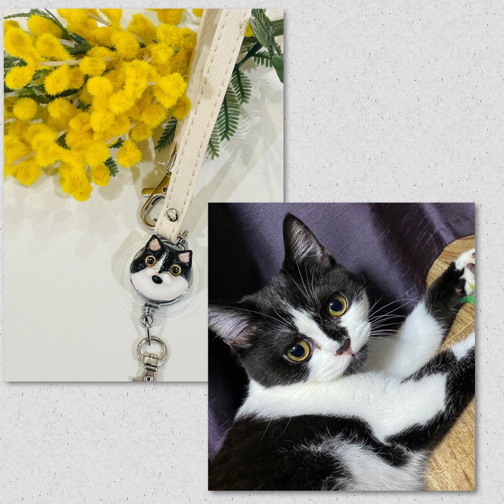 ByKotorikomachi's tweet image. #猫の日 と言う事で
#うちの子オーダー の猫ちゃんたち
#msdesign #kotorikomachi