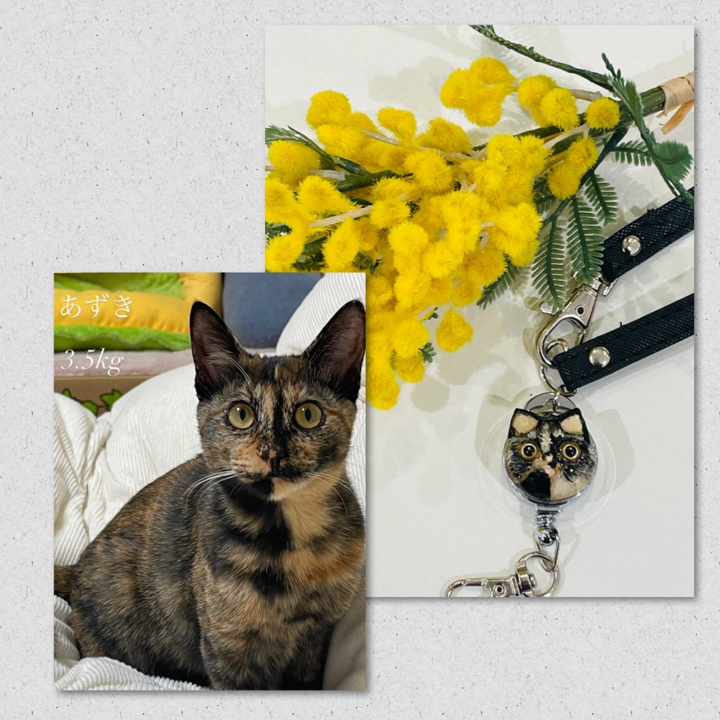 ByKotorikomachi's tweet image. #猫の日 と言う事で
#うちの子オーダー の猫ちゃんたち
#msdesign #kotorikomachi