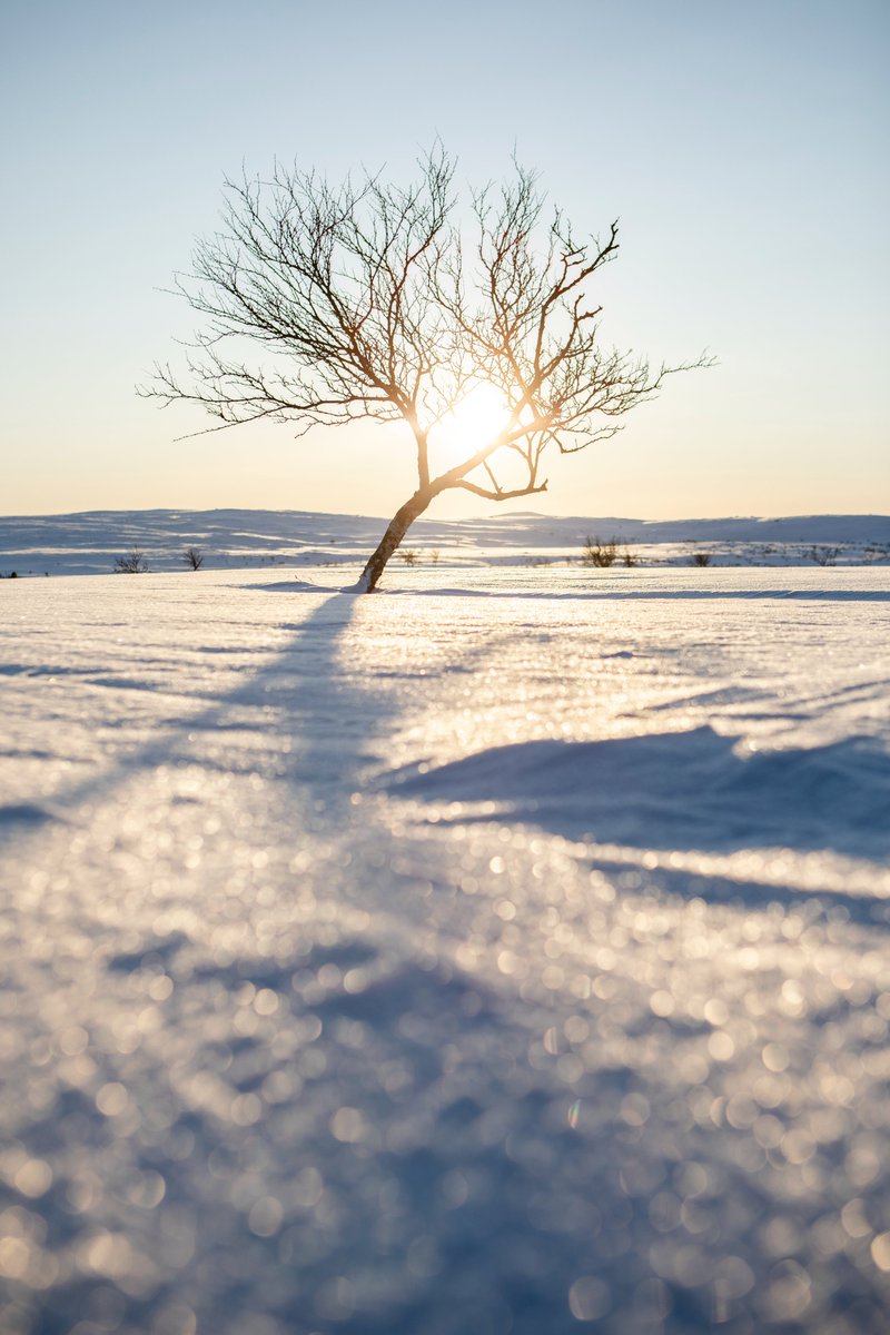 How are you planning to enjoy the spring sun this year? 
📸Kota Collective
