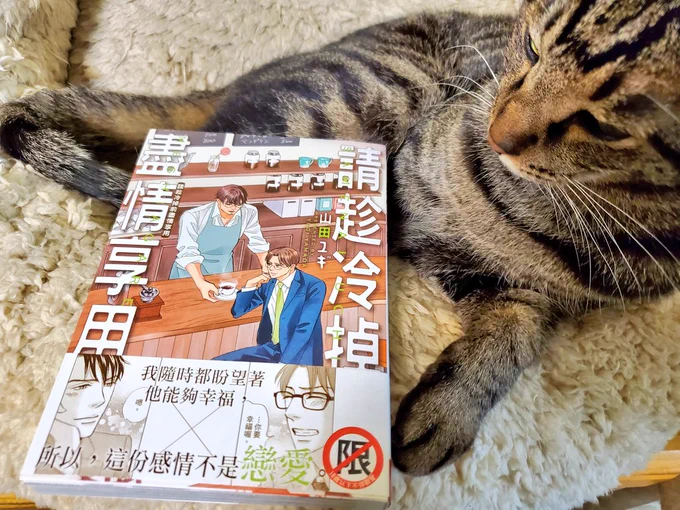 猫といえば!!ブルーという喫茶店の看板猫が出てくる「さめないうちに召し上がれ」の台湾版見本誌が届きました!!ブルーは「小藍」鳴き声は「喵～」なんですね!!かわいい!!カバー下のレシピも翻訳されてて嬉しいです。台湾の皆さんよろしくお願いいたします#猫の日#請趁冷掉前盡情享用  