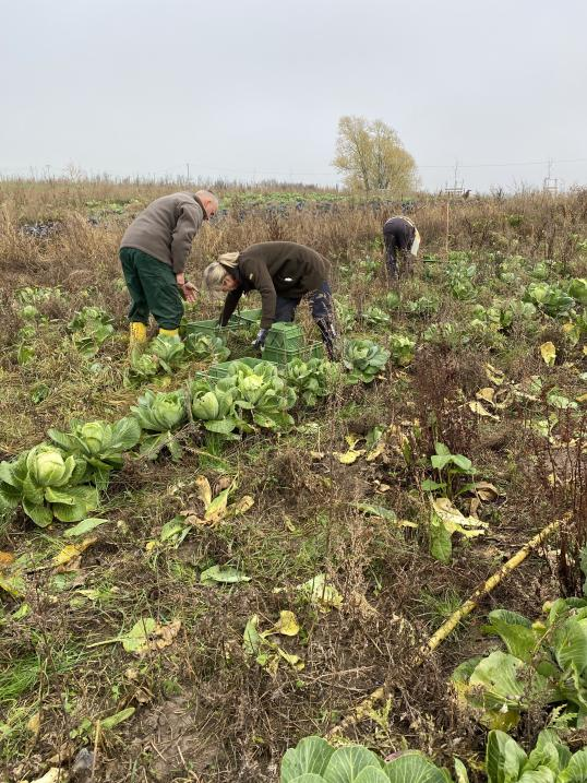 EU_SOILdarity's tweet photo. 🤗Sharing sustainable practices that proved to be successful is the quickest way to boost their impact on #SoilHealth
🌱#BioStripPlant transfers strip-till, strip-plant methods to market gardening to increase #soil moisture and fight against soil erosion
🧐https://t.co/sWQ1GUCdLN https://t.co/5nQBxnbwyD