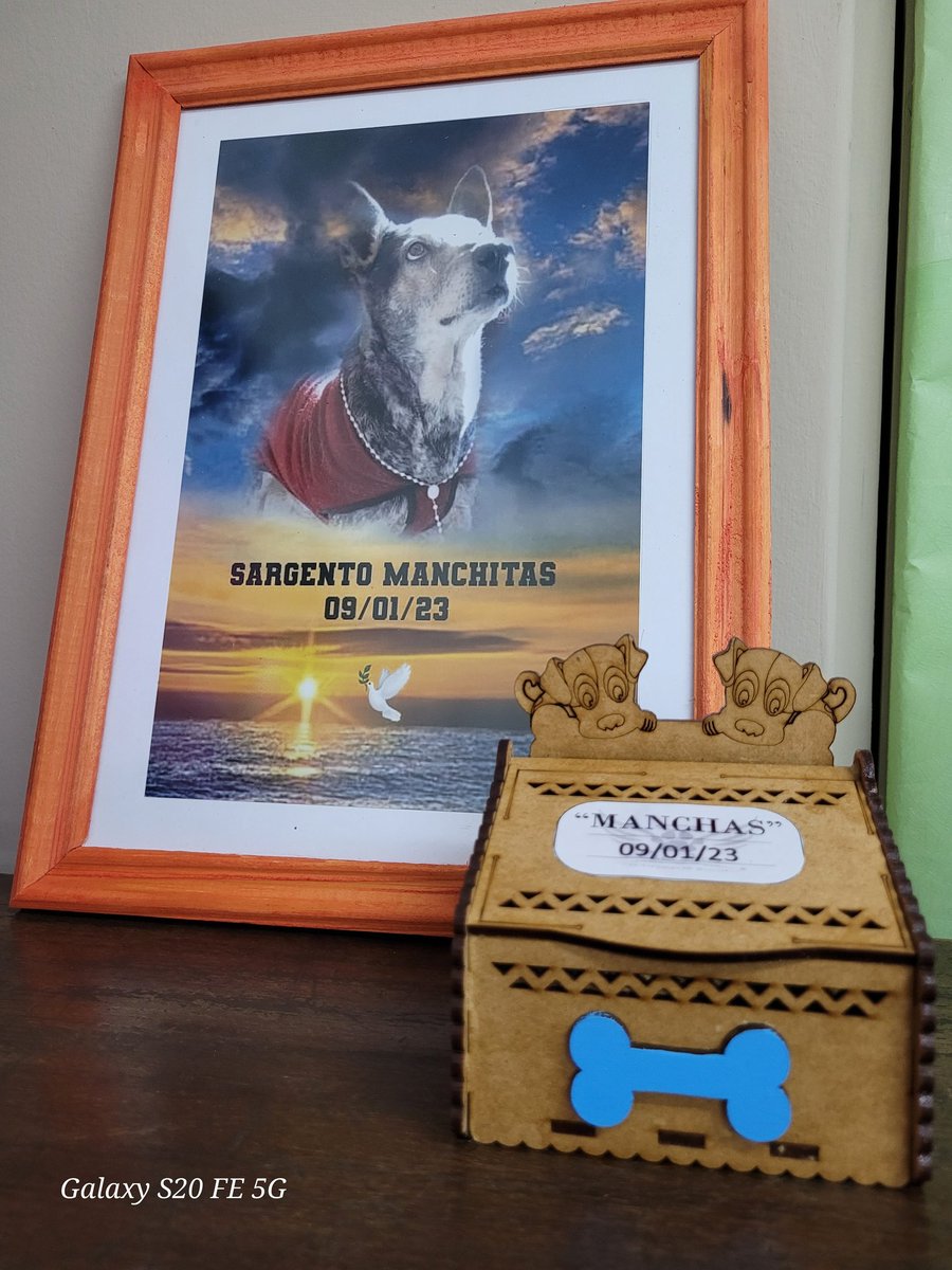 𝑽𝒂𝒍𝒆 🇦🇷 tweet media