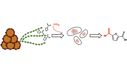 ChemCatChem's tweet photo. Whole-cell Mediated Carboxylation of 2-Furoic Acid Towards the Production of Renewable Platform Chemicals and Biomaterials by Per-Olof Syren and co-workers (@syrenlab). #OpenAccess https://t.co/Sm7D2fVStz https://t.co/1yXFrnyful