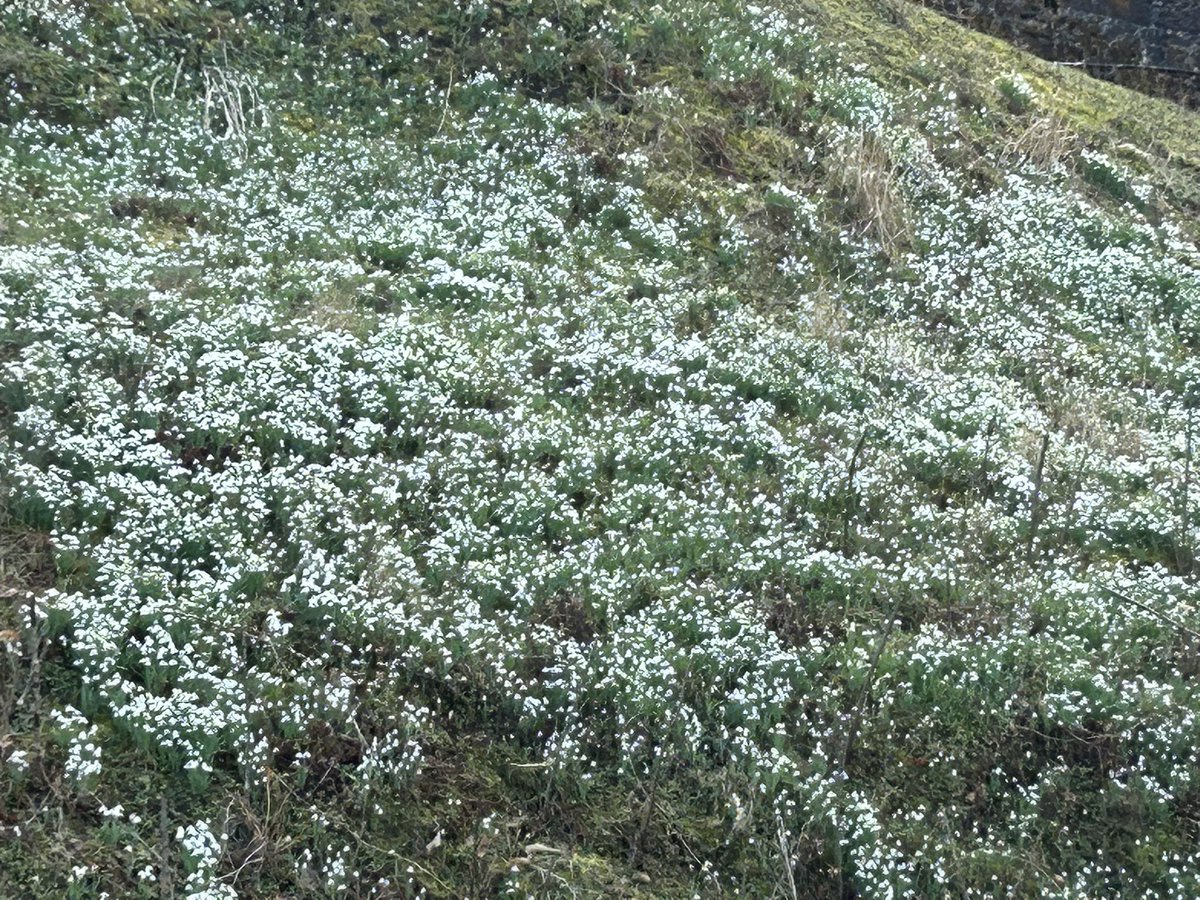 Lynn Hendry tweet media