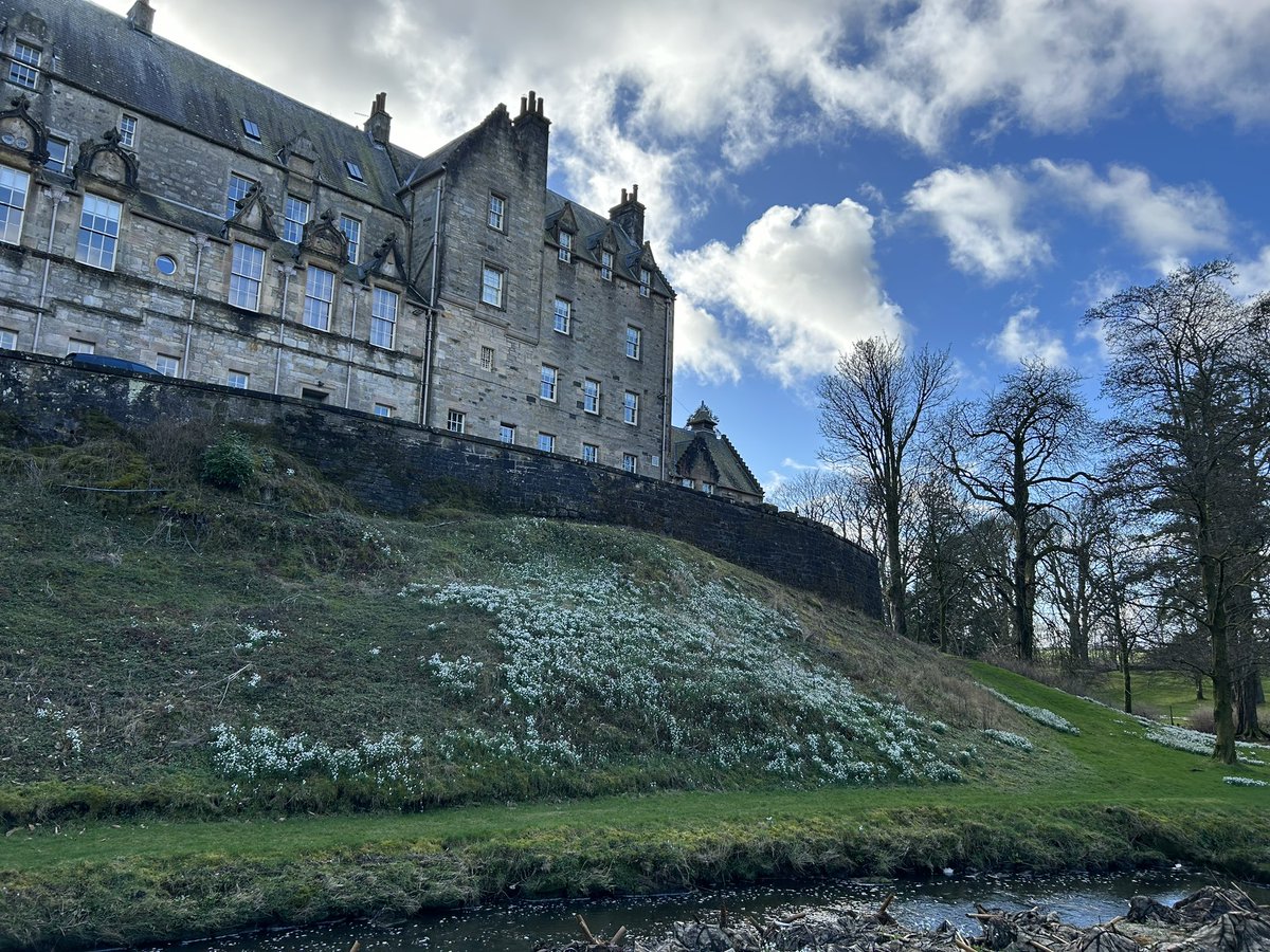 Lynn Hendry tweet media