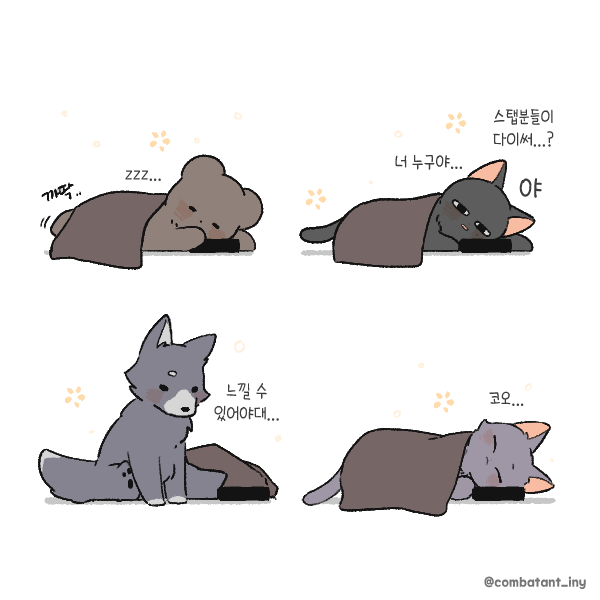 combatant_iny's tweet photo. 🐺THIS IS OUR LIFE https://t.co/AjR6TZZEz3