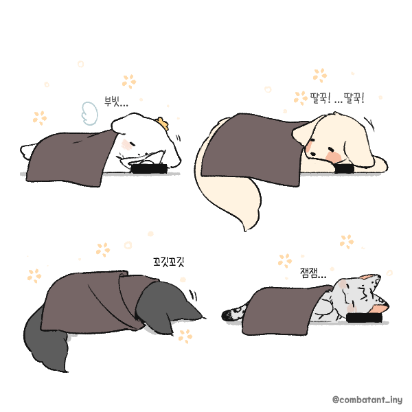 combatant_iny's tweet photo. 🐺THIS IS OUR LIFE https://t.co/AjR6TZZEz3