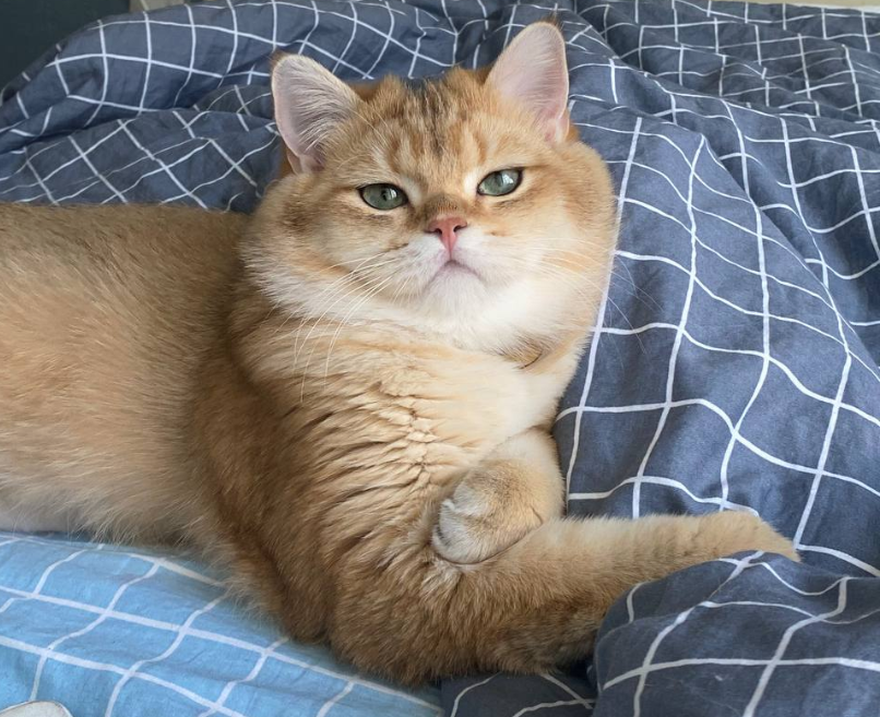 разница один год