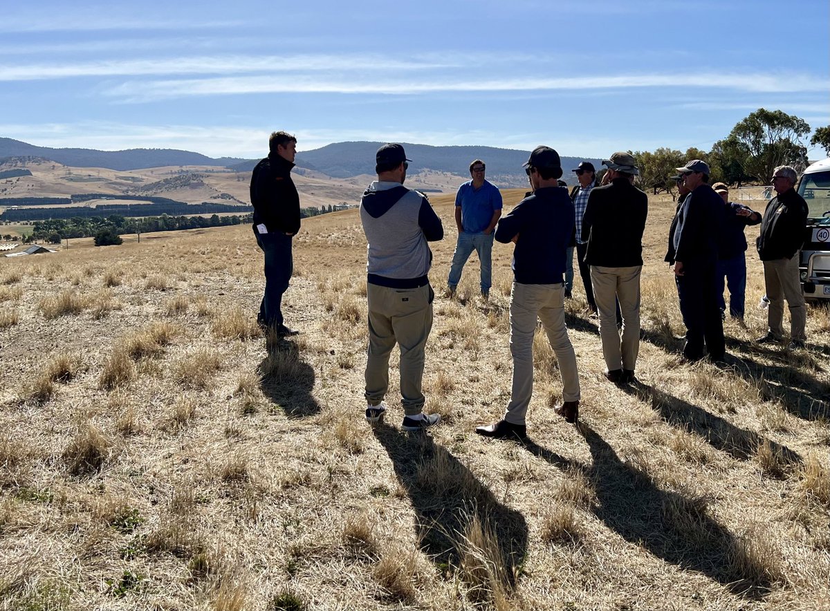 Day 2 of our grower study tour to Tasmania. A stunning Tassie day to be out on farm near Kempton, blown away with the yield potential and productivity in this part of the world. Thanks for having us.
 #QFHtassietour #adama #zoetis