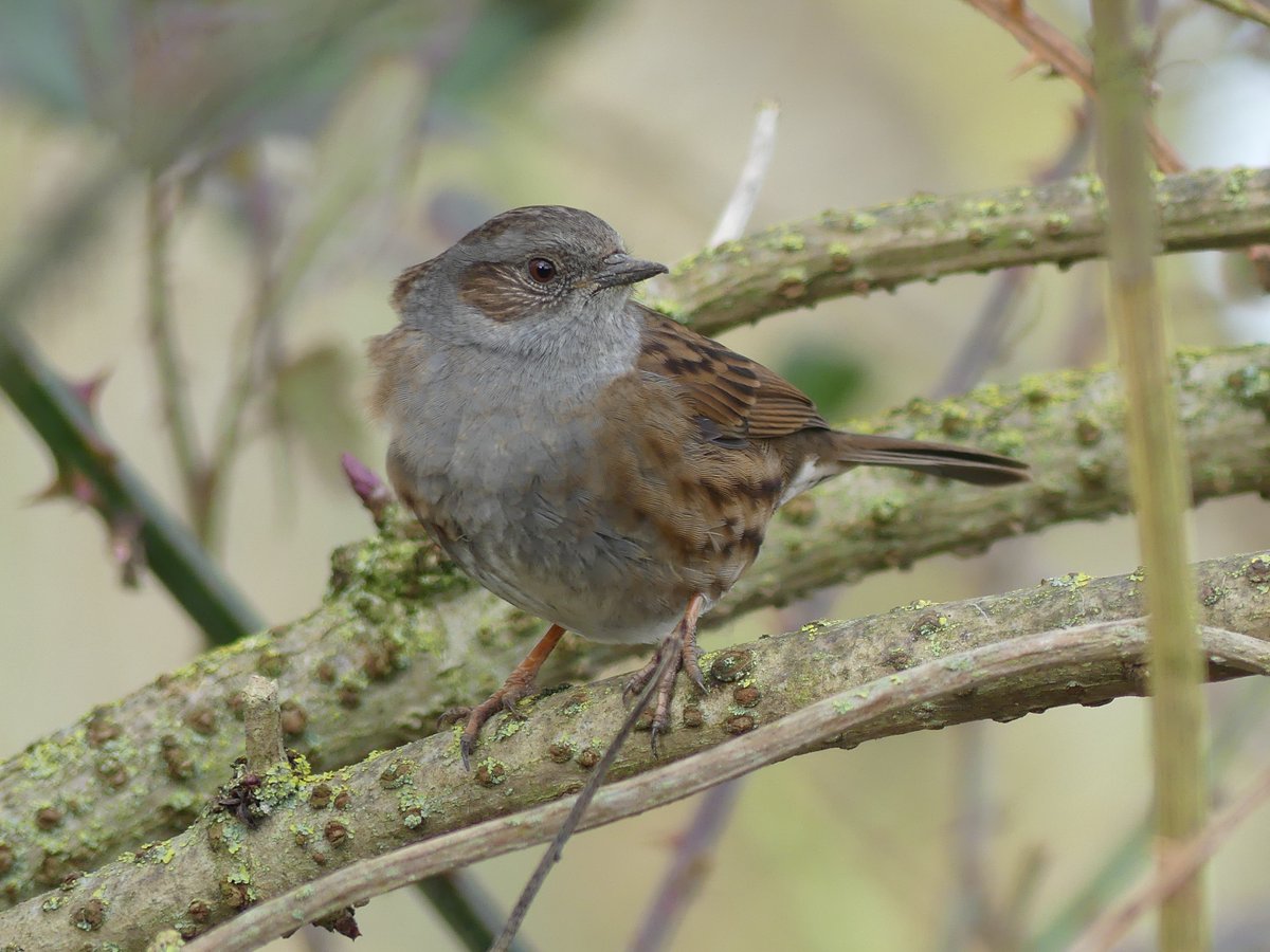 "Fill your paper with the breathings of your heart.” 
~ William Wordsworth