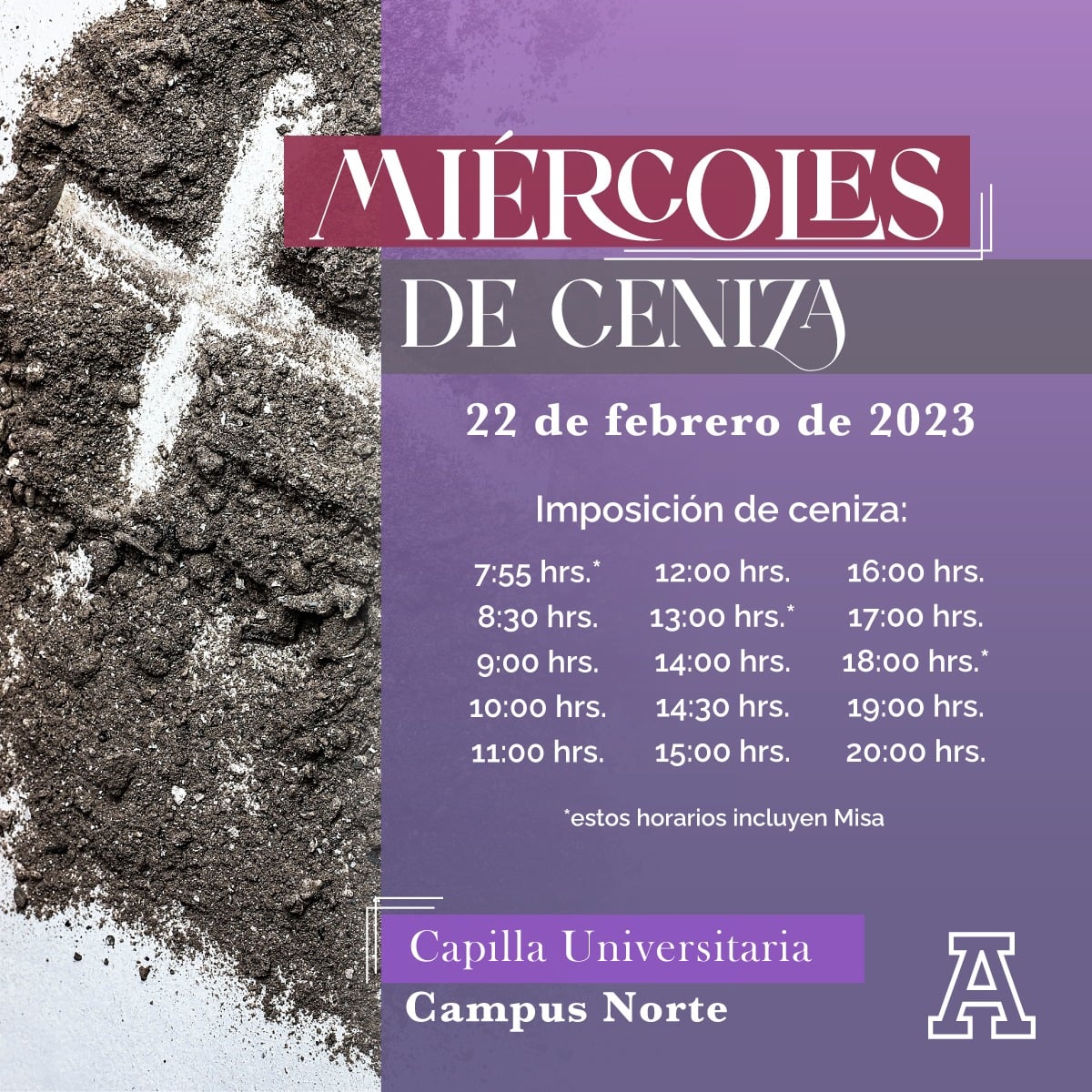 AnahuacCOM's tweet image. 