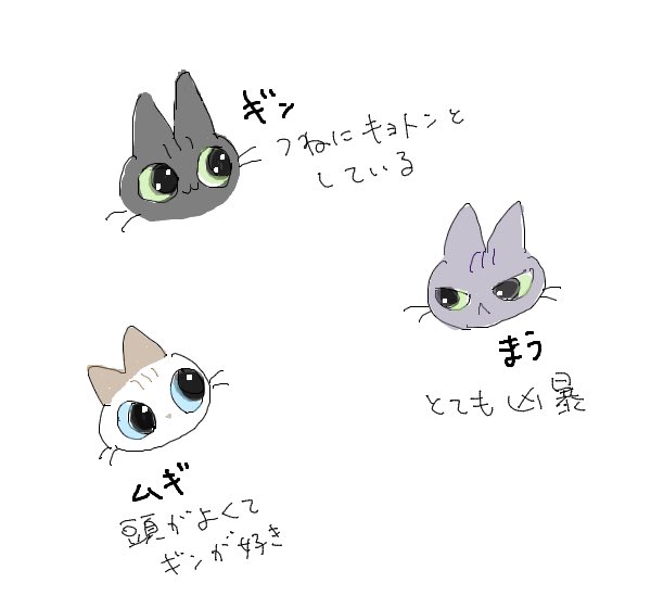 ねこの日〜😺 