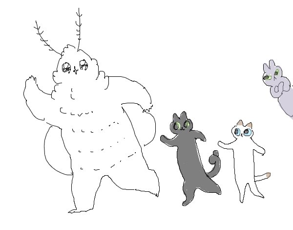 ねこの日〜😺 