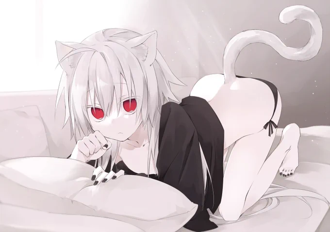#猫の日 再掲猫 