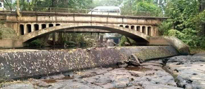 MutemiWaKiama's tweet image. Two of the biggest rivers in Mt Kenya dry... Chania River at Blue Posts Thika, Rubingaci at South Ngaruama Embu/Kirinyaga