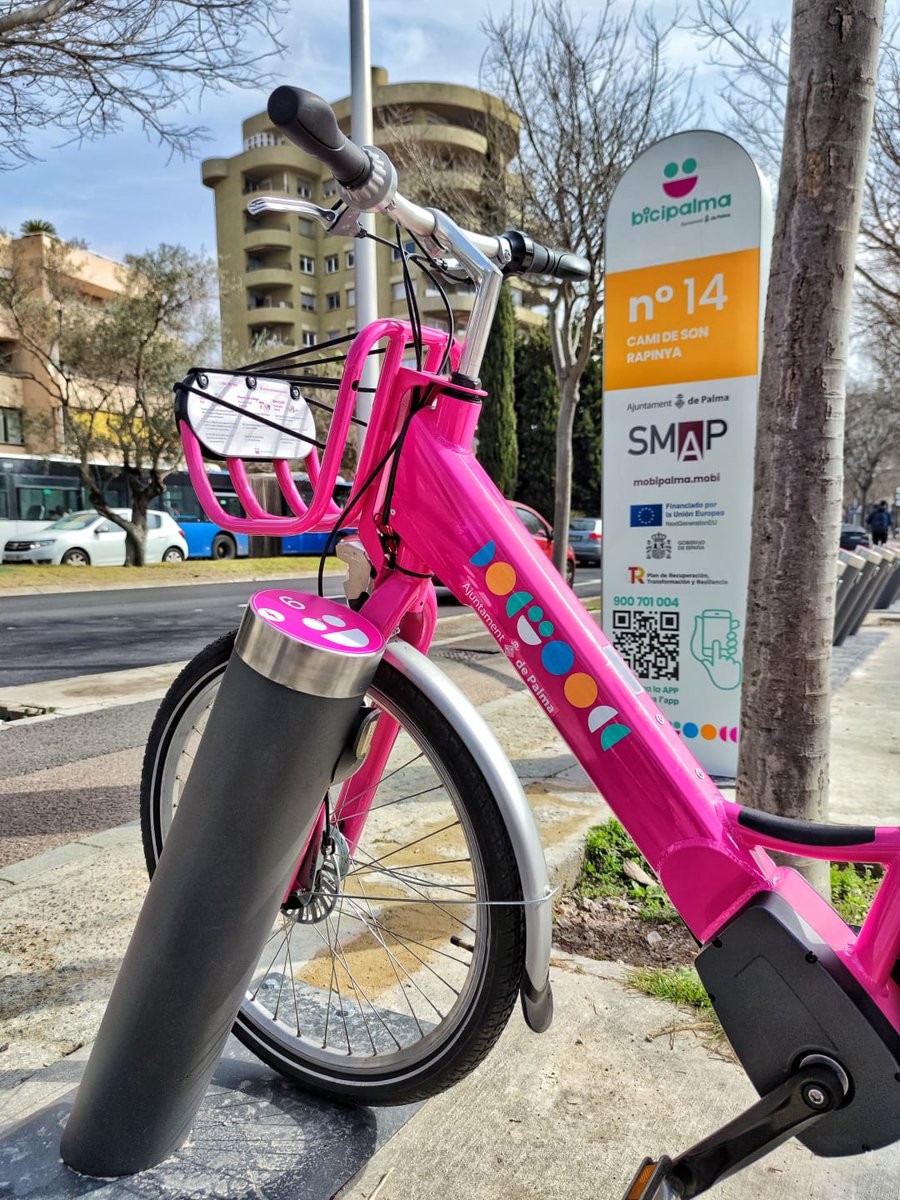 Ajuntament de Palma tweet media