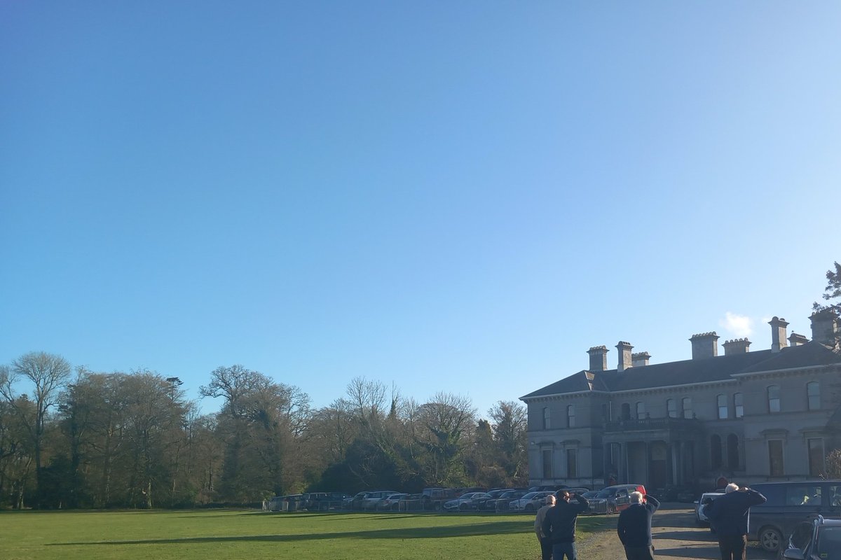 Ciarán Reilly tweet media