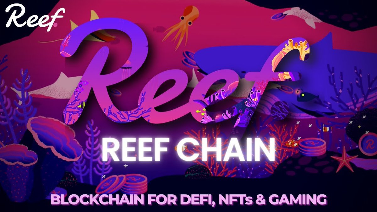 recepcakici35's tweet image. #ReefChain #ReefTime #Reef
