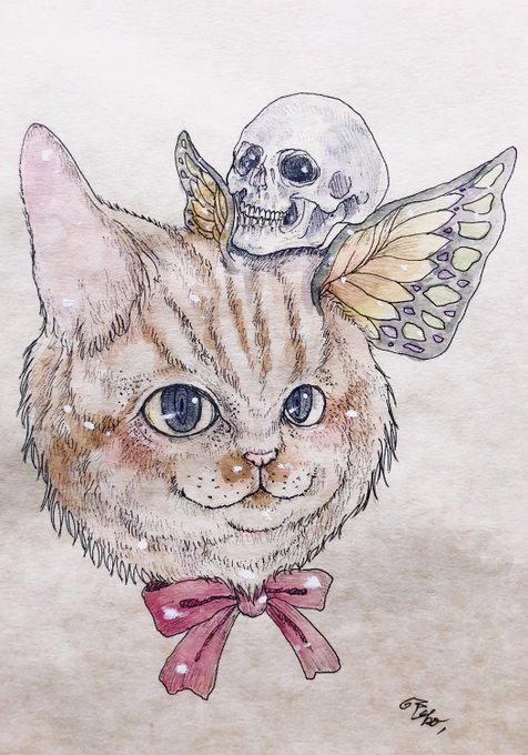  #猫の日 