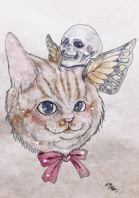  #猫の日 