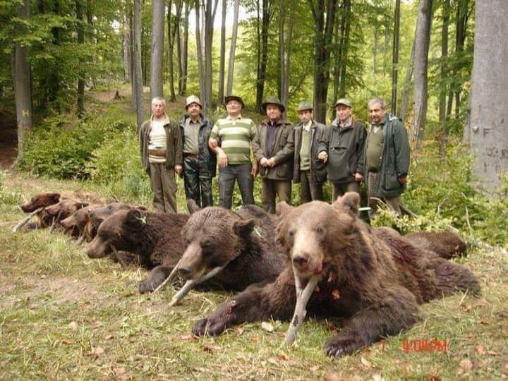 angie_karan's tweet photo. I see humans...
     but NO humanity. 💔
#BanTrophyHunting now! https://t.co/171gpnzsOM