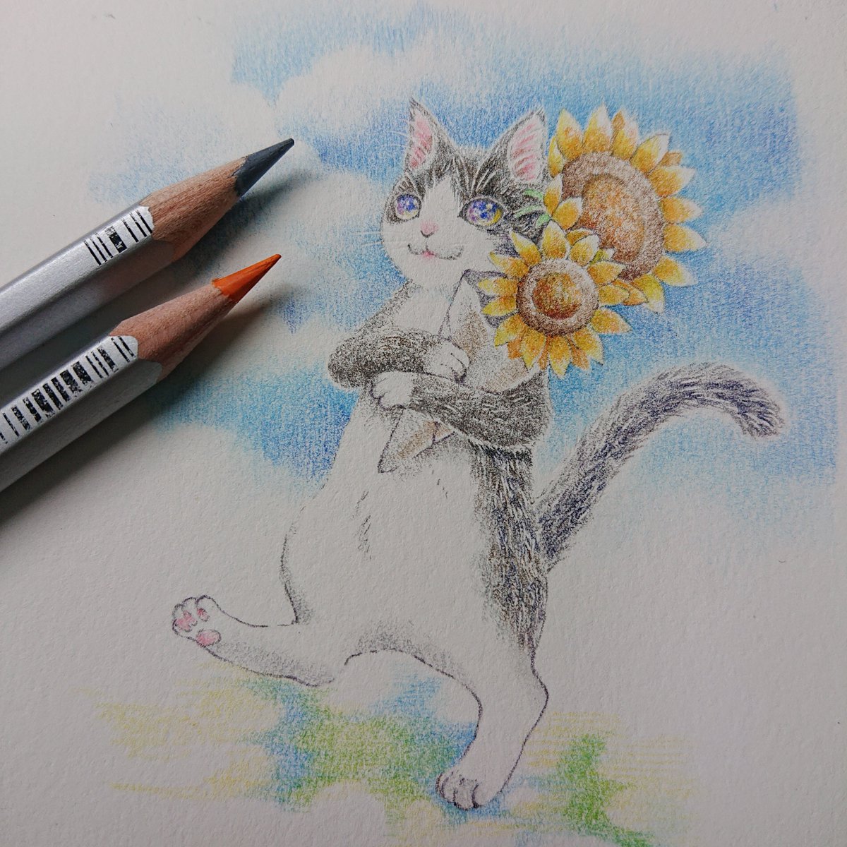 「#猫の日 #猫の日2023 これからも描いていきたいです～ 」|モクハタのイラスト