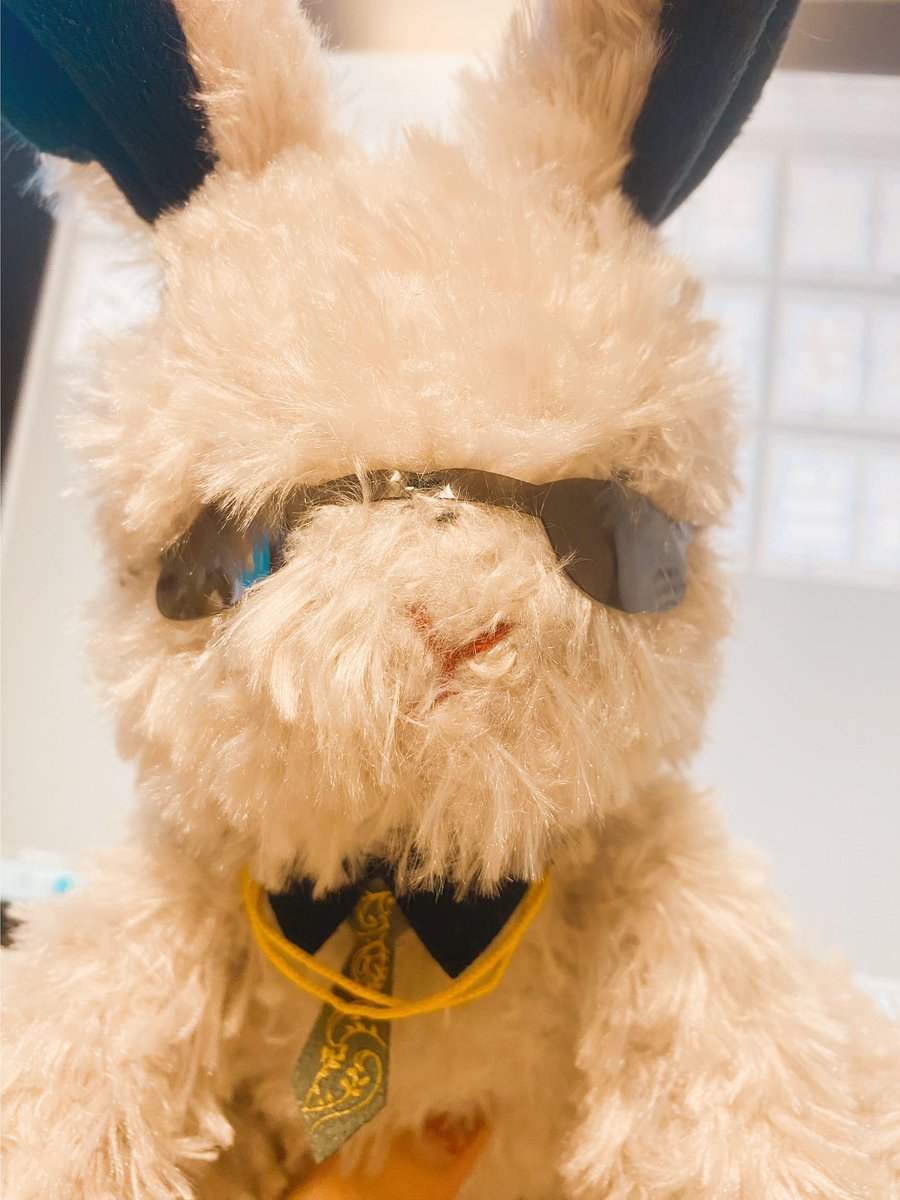 うさんちょうもうさん🐰がやってきた！
手触りがうちのわんこ（？？？） https://t.co/xVBbRSXSzB