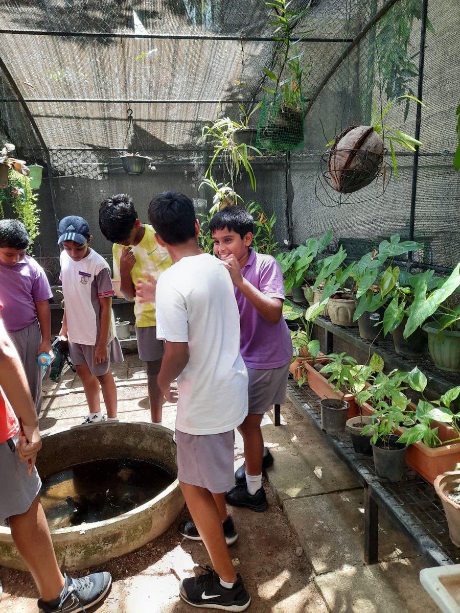 Wellbeing day in Year 5
<a href="/BSC_Principal/">BSC Principal</a> <a href="/jsyear5/">BSC_JSYear5</a> <a href="/BSColomboLK/">British Sch Colombo</a> <a href="/BSC_JSHead/">BSC Junior Head</a>