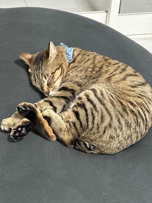 Twitterのコスプレ画像24