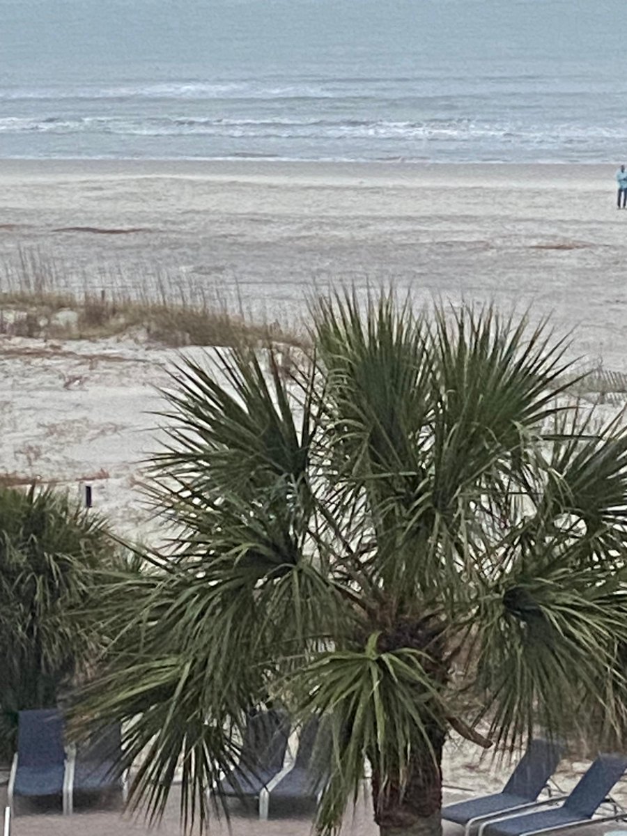 SCRPA's tweet image. Welcome 2023 TPS to HHI.  The beach, ocean and awesome weather (not to mention great speakers!) await you!