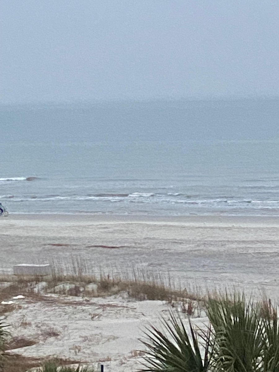 SCRPA's tweet image. Welcome 2023 TPS to HHI.  The beach, ocean and awesome weather (not to mention great speakers!) await you!