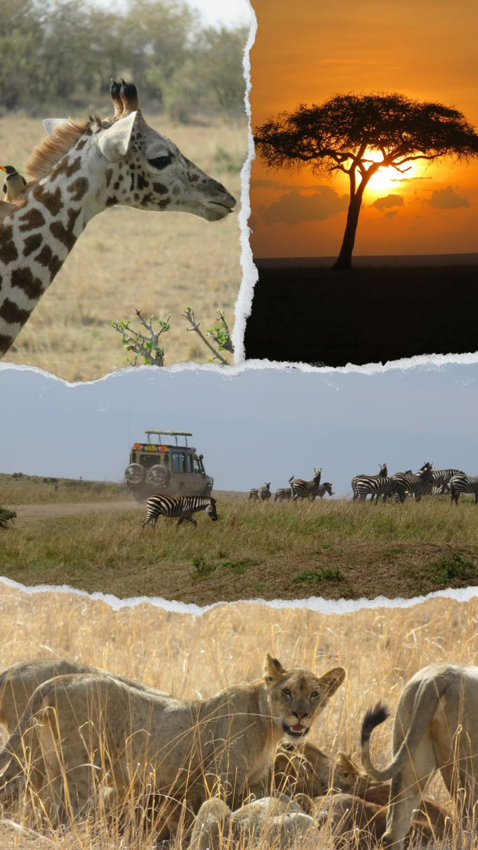 Explore #Kenya with us #whyilovekenya @magicalkenya #mkte