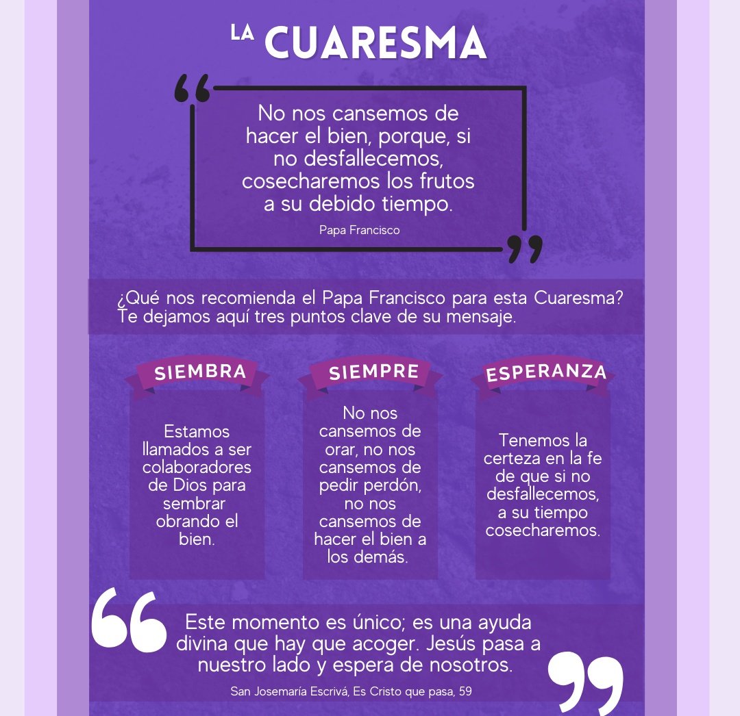 Alejandro Alvarez Gt 🌱 tweet media