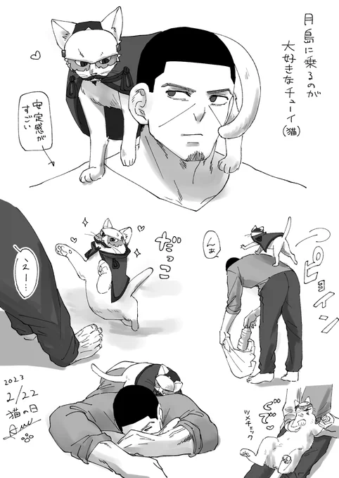 猫の日
🌙さん家のチューイ(猫) 