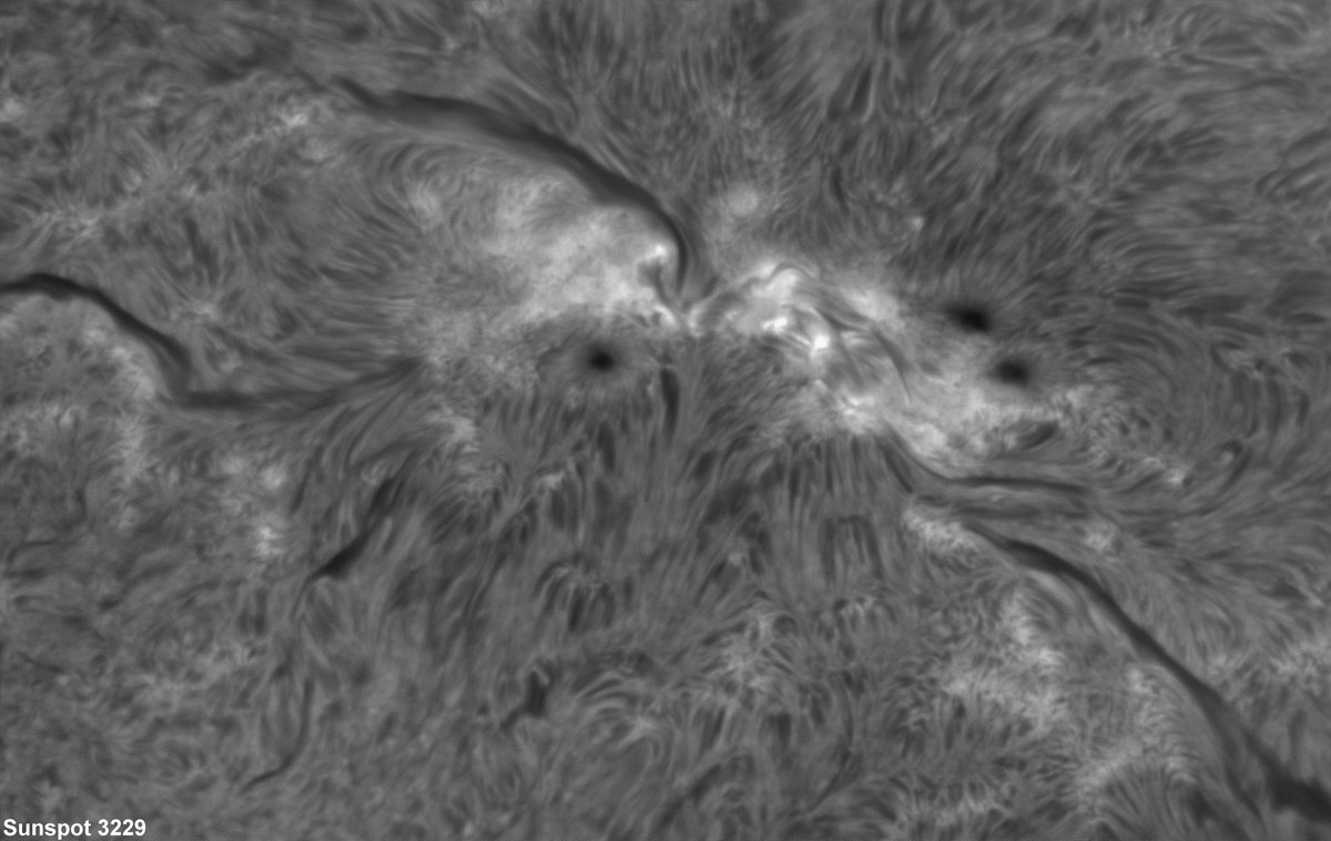 Tex369X's tweet photo. Wednesday
2.22.2023
#Kin20
Long Count 0.0.10.5.15
moon:8 day:16
#YELLOWRESONANTSUN
I channel in order to enlighten
Inspiring life
I seal the matrix of universal fire
With the resonant tone of attunement
I am guided by the power of free will
I am a galactic activation portal https://t.co/Vpl4xCWFLh