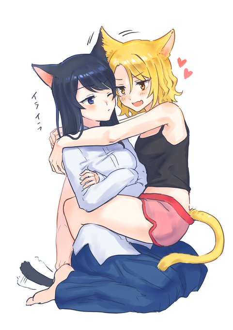 猫の日らしい🐈💖🐈‍⬛ 